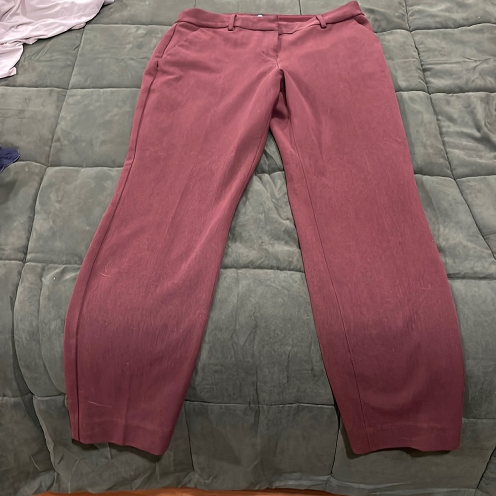 Express columnist pants 8R maroon